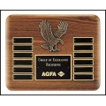 Eagle Perpetual Plaque